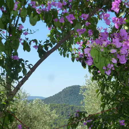 Bed & Breakfast L'origane *
