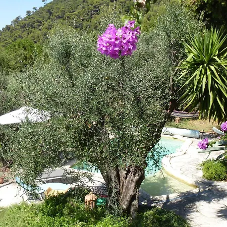 Bed & Breakfast L'origane *